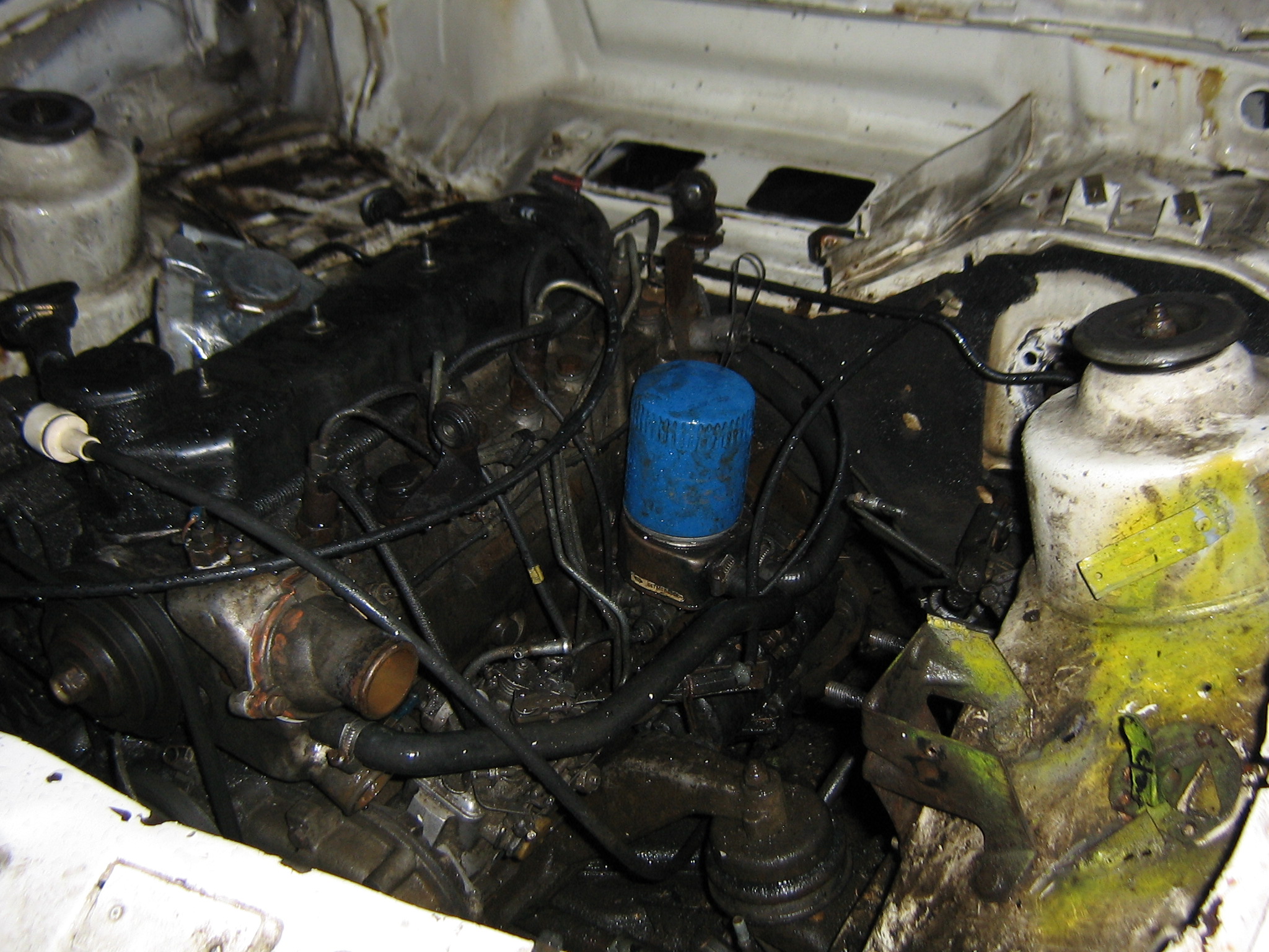 autod 250.jpg