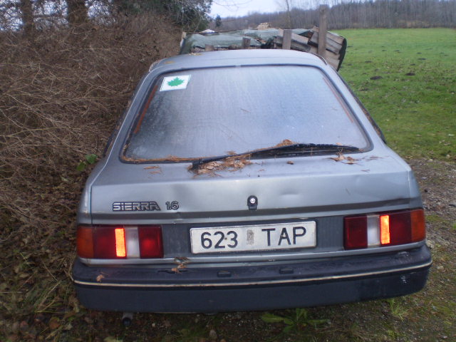 PB090007.JPG
