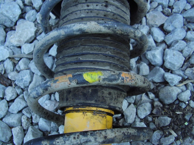 P5300004.JPG