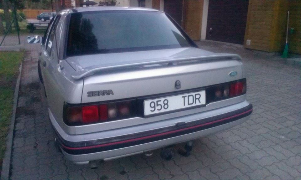 sirts2.jpg